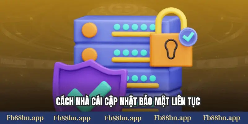 Cách nhà cái cập nhật bảo mật liên tục