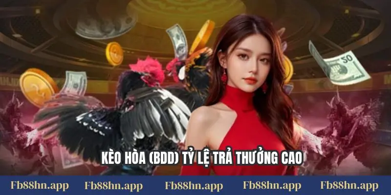 Kèo hòa (BDD) tỷ lệ trả thưởng cao